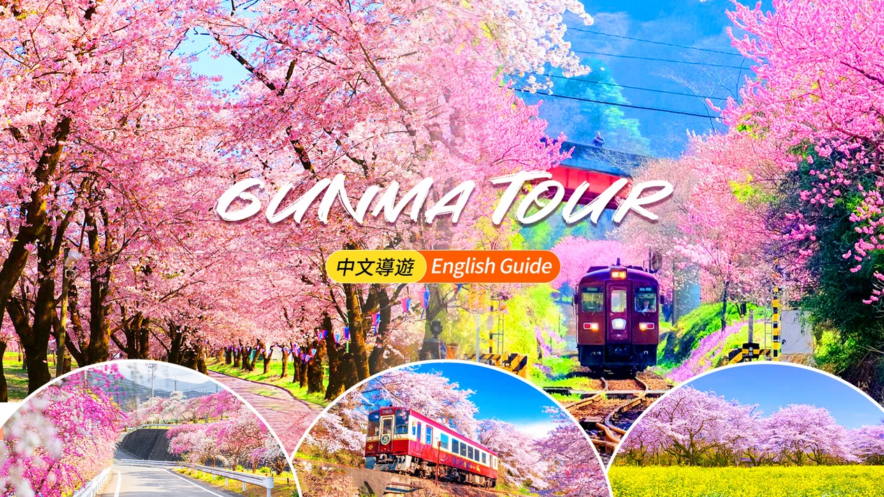 櫻花季限定-渡良瀨川溪谷櫻花列車·小夜戸花桃道·赤城南面千本櫻一日遊｜東京/新宿出發