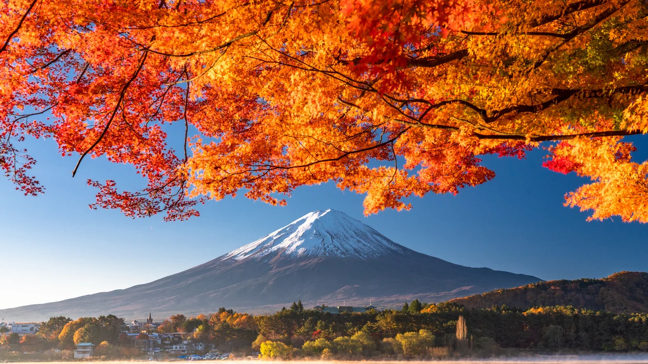 東京 - 富士山 - 白川鄉 - 大阪7日通票