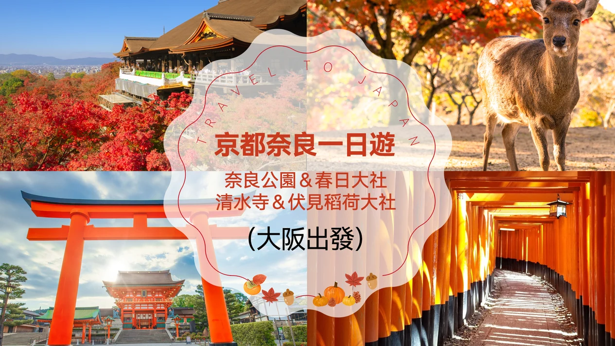 Kyoto & Nara Park One-Day Tour (Departing from Osaka)