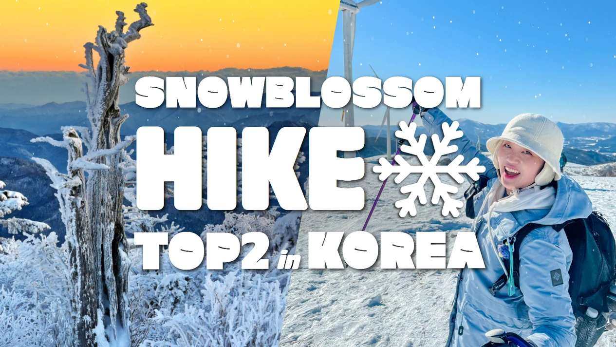 Seoraksan Hiking from Seoul: Taebaeksan Sunrise and Seonjeongneung Tomb