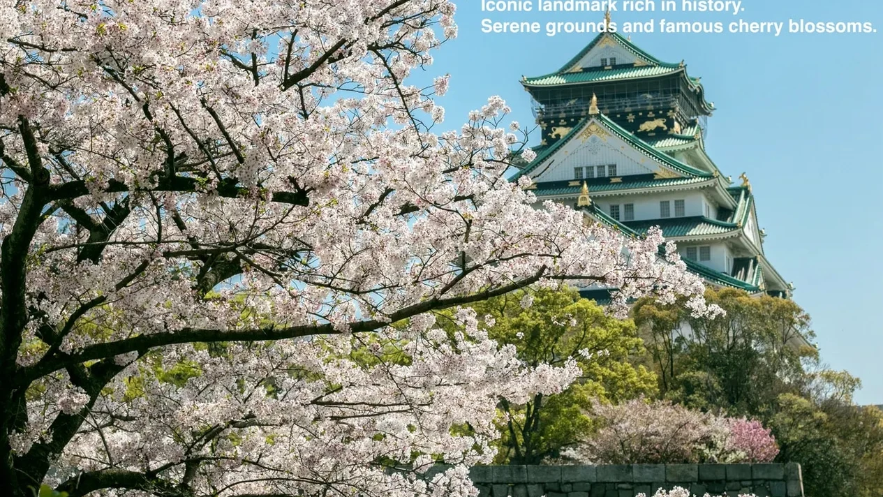 Osaka Private Customized Walking Day Tour