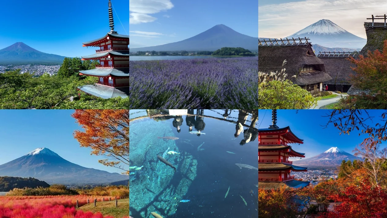 Mount Fuji IG photo taking day trip! Arakurayama Park & Saiko Rene Field & Oishi Park & Oshino Hakkai (from Tokyo)