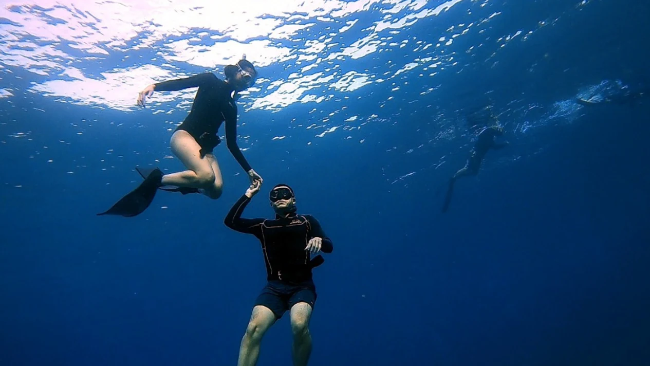 New Taipei｜Gongliao Longdong Douzhen Diving｜OW・AOW Certification・Free Diving Certification・Diving Experience
