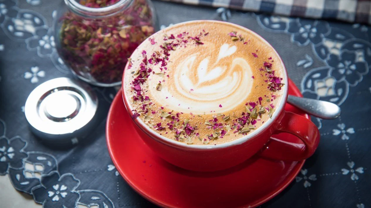 Zenon Café – Central
