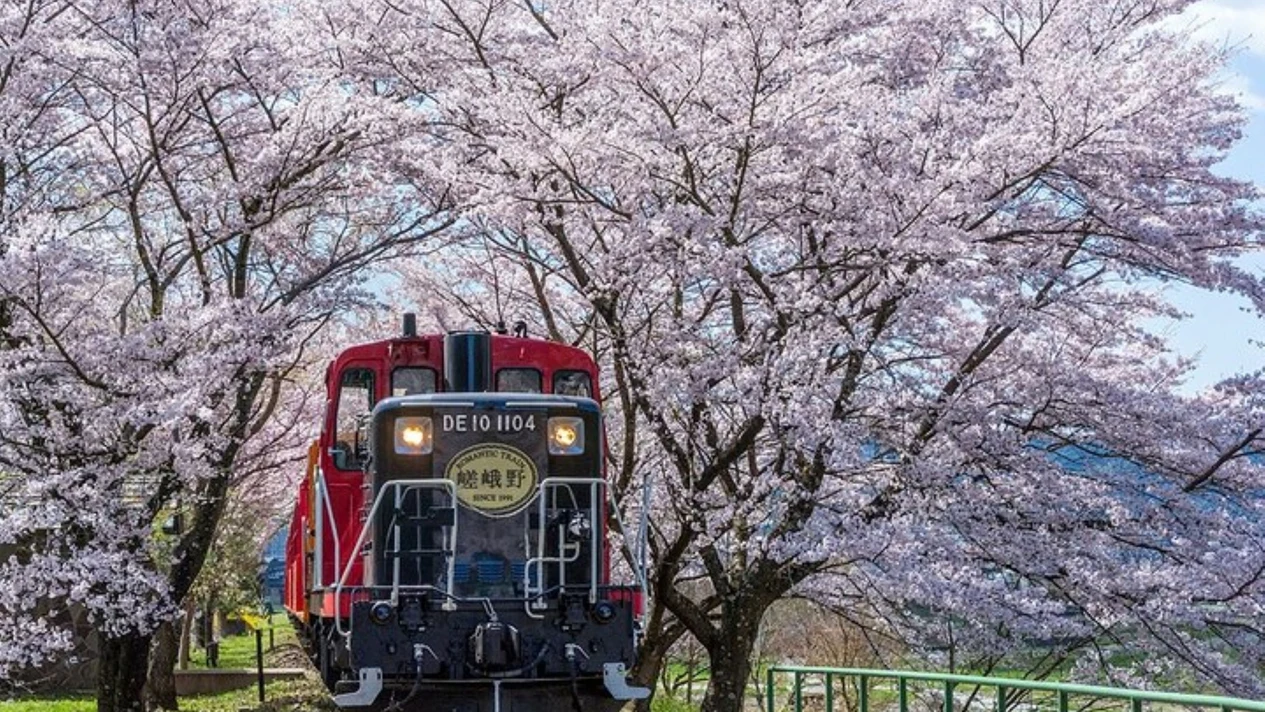 京都保津川遊船、嵯峨野遊覽小火車、嵐山之旅