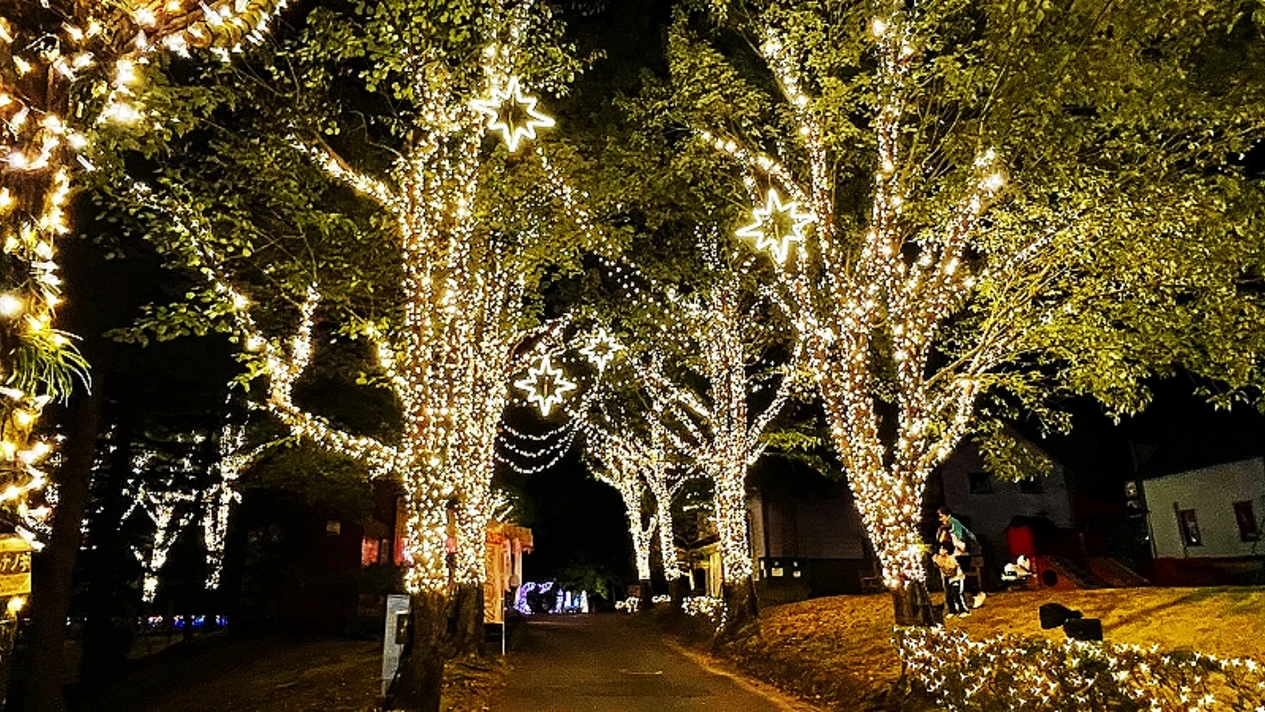 Komuro Mountains & Shuzenji Temple & Nijigo 2024 Thanksgiving Illumination Day Tour (Depart from Tokyo)