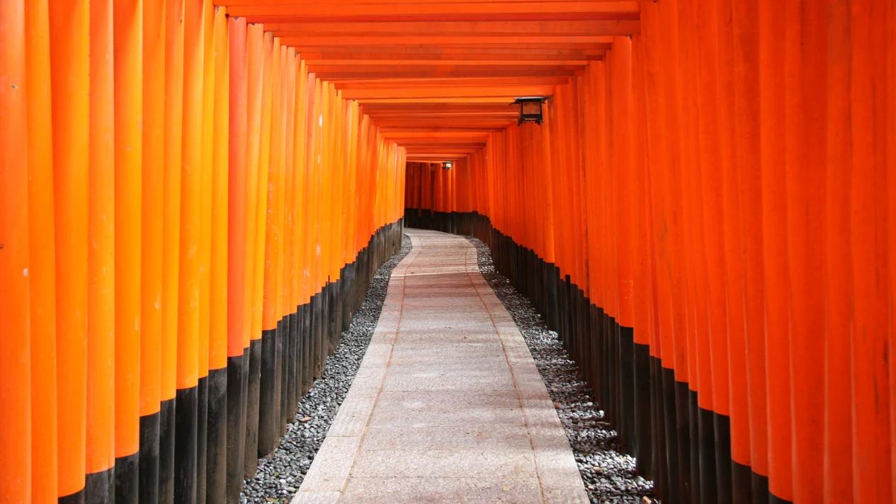 Kyoto Afternoon Sightseeing Tour