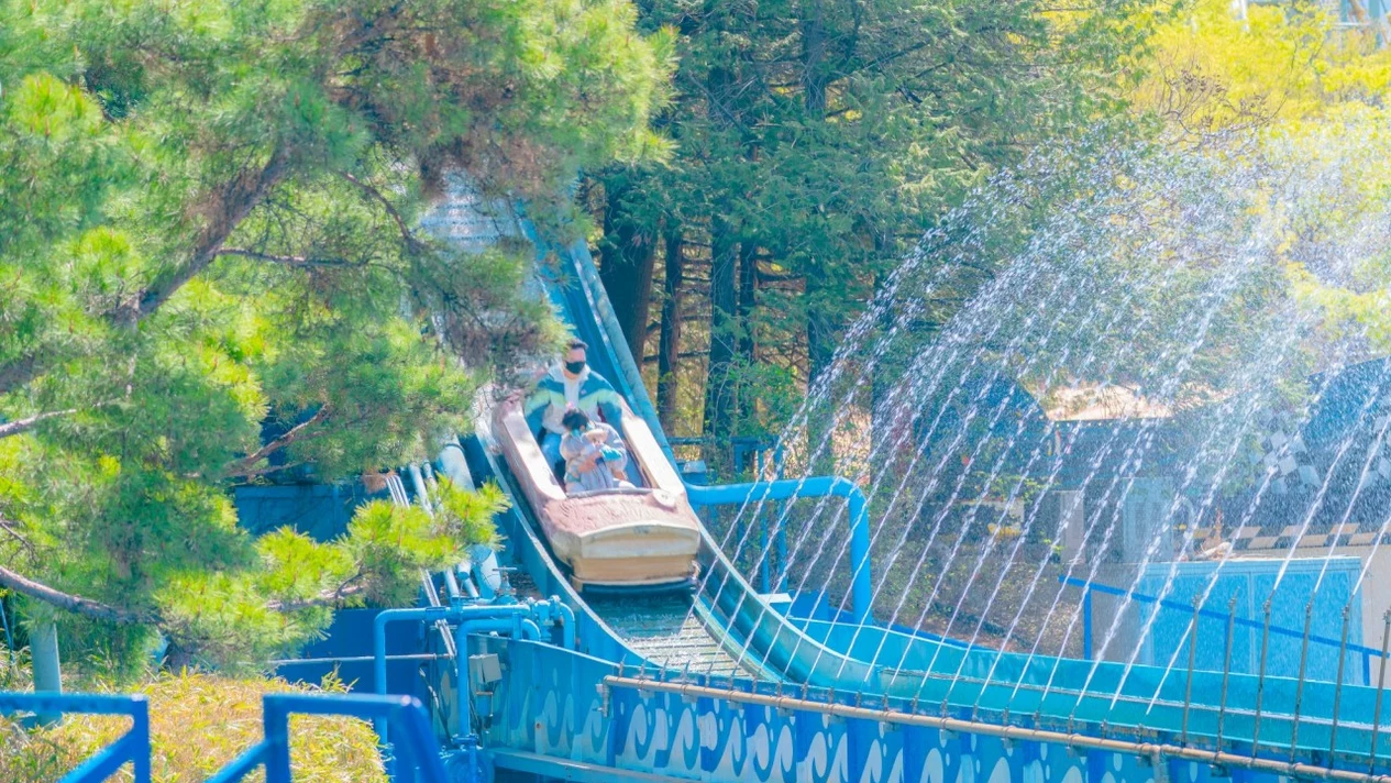 Daegu E-World/83 Tower & Seomun Market Night Market & Palgongsan Cable Car & Botanical Garden One Day Tour