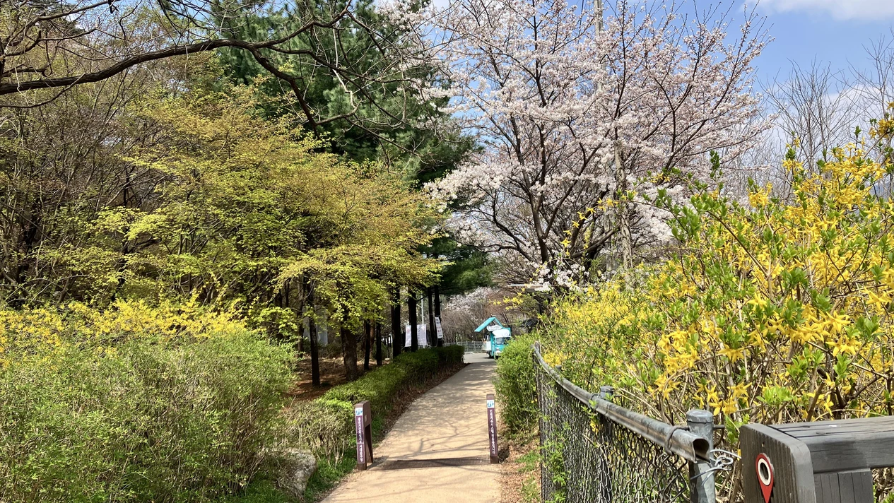 Hanbok + Gyeongbokgung Palace + Dongin Market Guided Walking Tour