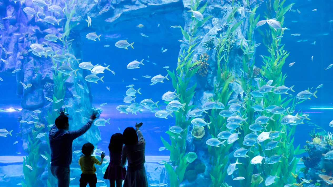 首爾樂天世界水族館門票