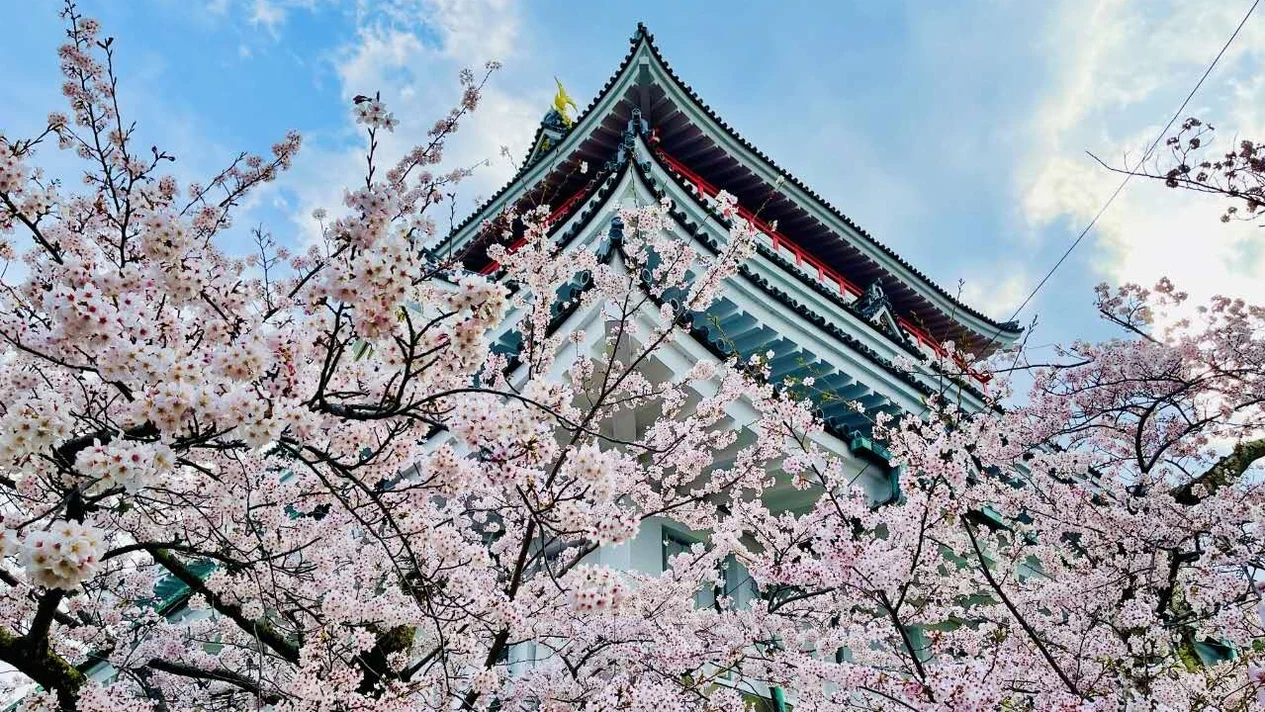 MOA美術館＆熱海陽光沙灘＆熱海城一日遊（東京出發）