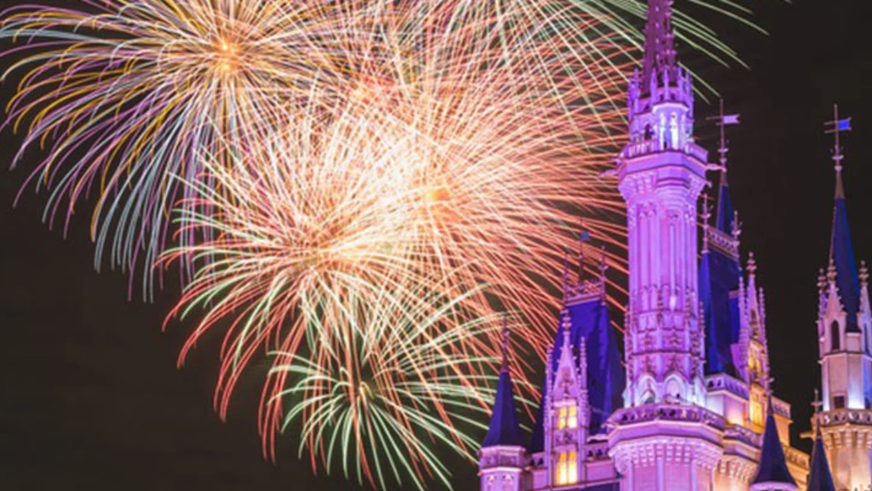 Tokyo Disney Dream Tour includes park hotel accommodation and tickets, private charter, and online butler