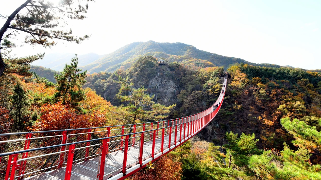 DMZ非軍事區之旅：首爾出發，紅色吊橋與天文台