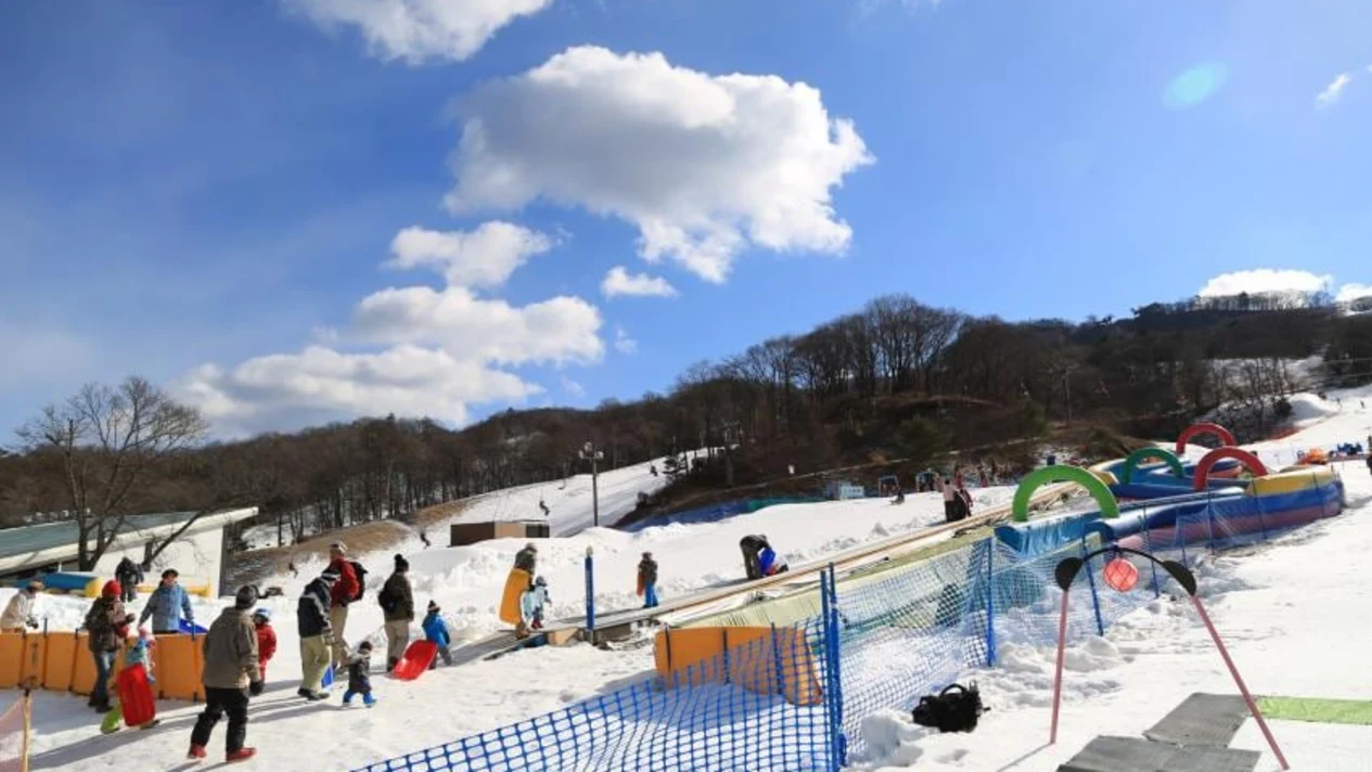 輕井澤滑雪玩雪一日遊 （可提供雪具雪服租借和滑雪教學選項 東京出發）