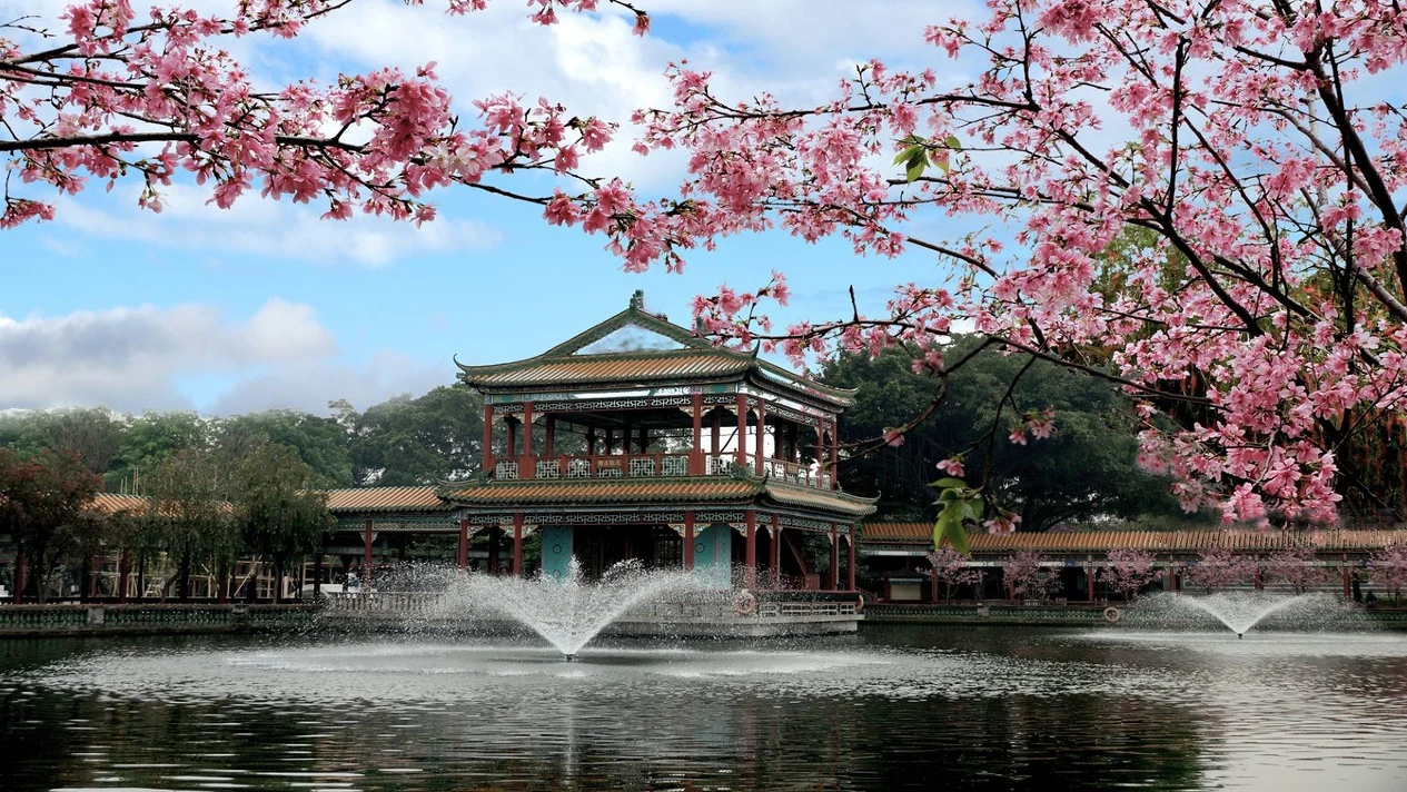 Charter a car to visit Baomo Garden & Shawan Ancient Town Charter one day tour