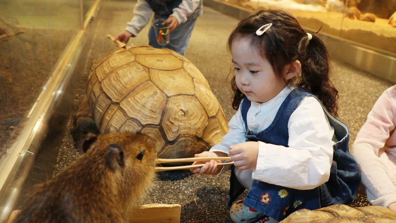 SeenB 室內動物樂園 + 水上花園公園門票