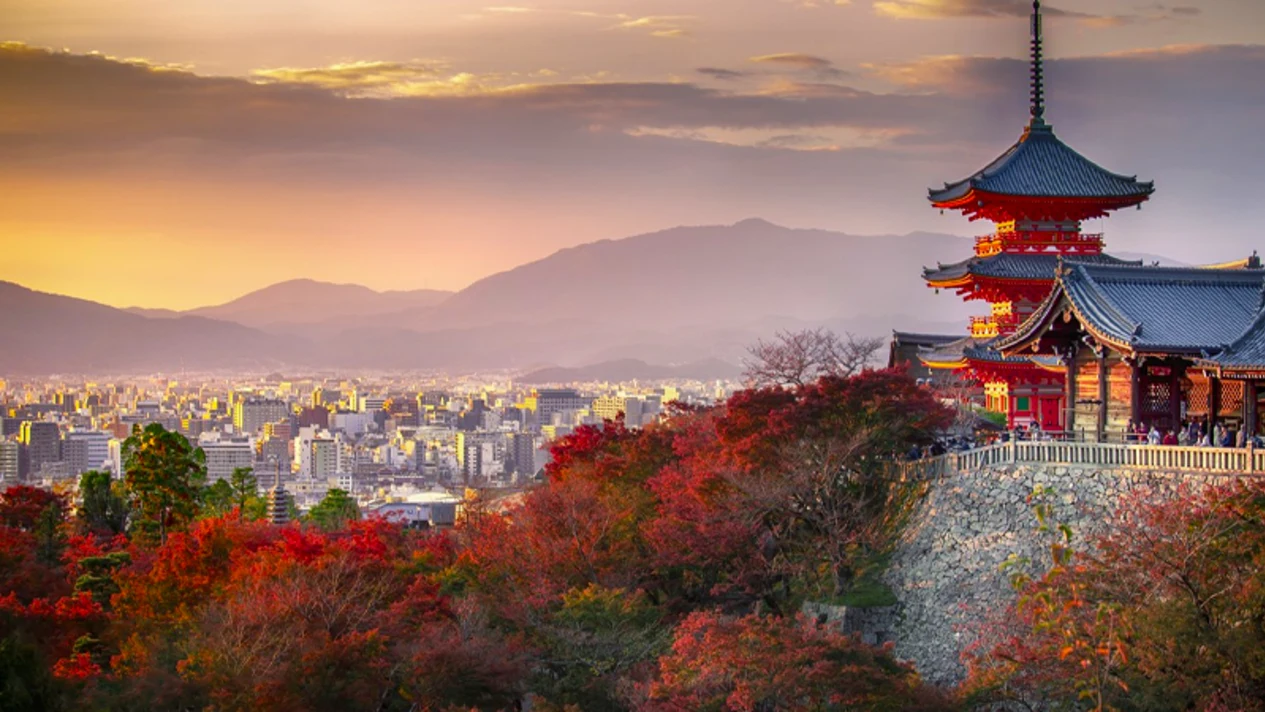One-day trip to Arashiyama, Kinkakuji Temple, and Kiyomizudera Temple from Kyoto | Departing from Osaka or Kyoto