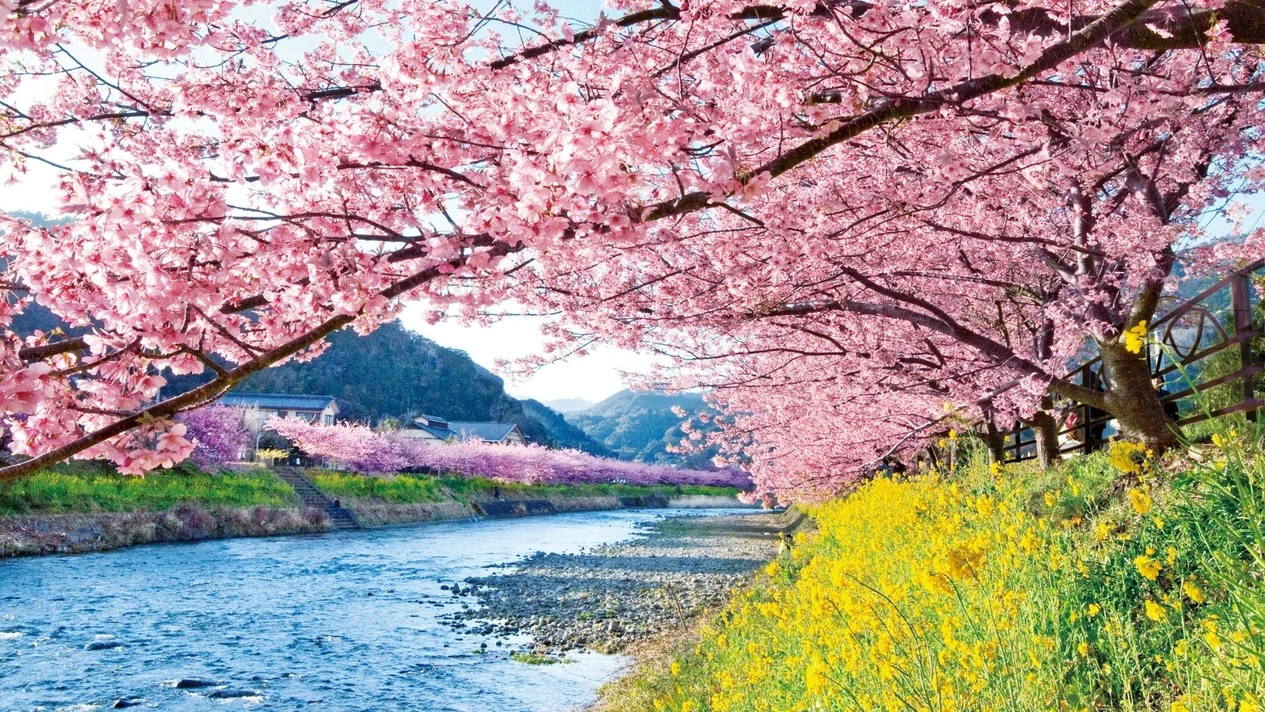 【2月限定】靜岡・伊豆早春2日遊｜伊豆河津櫻祭｜海上迎新春富士美景｜久能山東照宮・大室山＆摘採草莓吃到飽｜東京出發