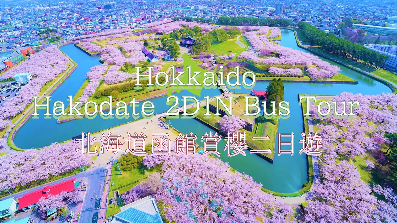 Hokkaido Hakodate 2-Day 1-Night Cherry Blossom Viewing Bus Tour (Depart from Sapporo)