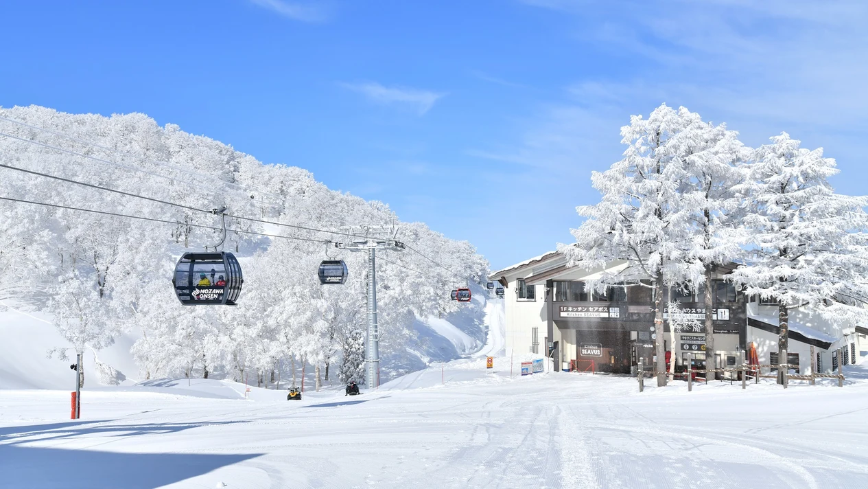 野澤溫泉滑雪場2-5日滑雪套裝 (東京出發)