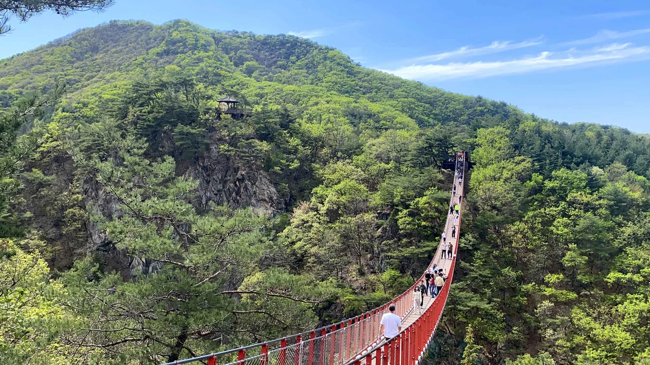 韓國熱門景點2日遊（DMZ非軍事區+首爾市區遊）