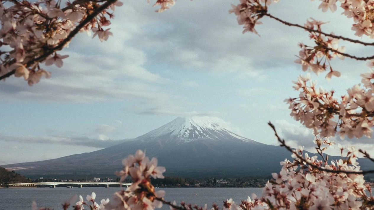 One-day tour of Japan's boutique Mount Fuji and Lake Kawaguchi | Multiple routes to choose from | Round trip from Tokyo