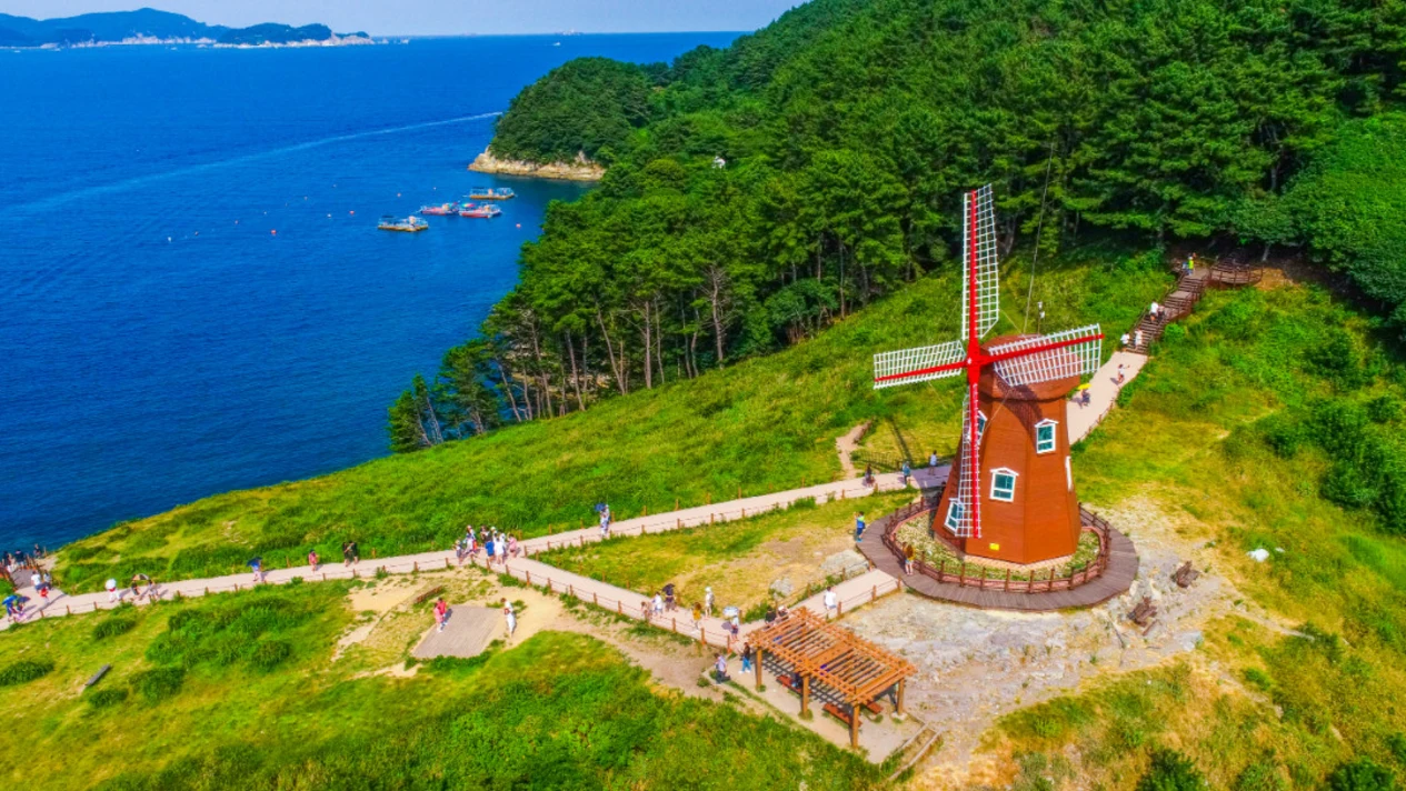 巨濟全景纜車 & 外島Botania一日自然海岸之旅