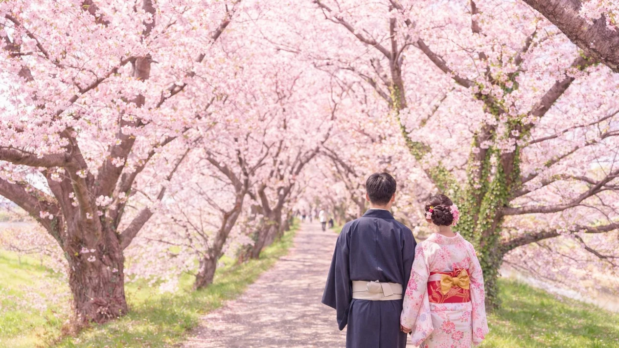 賞櫻一日遊 竈門神社 & 秋月城跡 & 流川櫻並木 & 浮羽稻荷(可選舞鶴公園離團) 福岡出發
