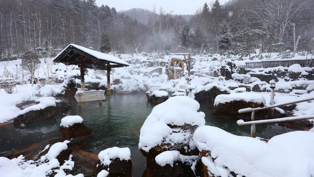 Sapporo Hoheikyo Hot Spring Experience (Private Transfer Included)