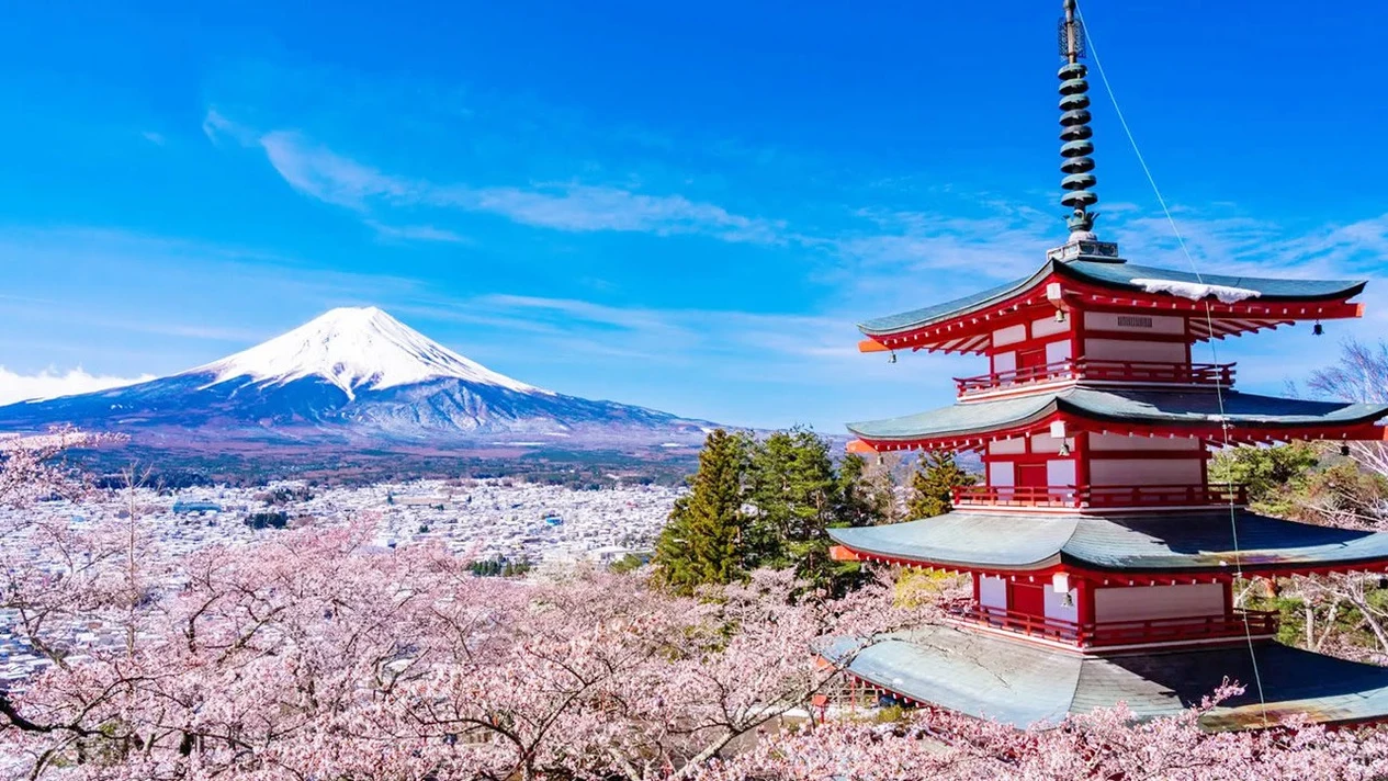 [Fuji Tour & Outlet Shopping/Hot Spring Tour] Mount Fuji 5th Station/Arakurayama Park & Oshino Hakkai & Gotemba Outlet/Hot Spring Day Tour (Including Lunch Option Departing from Tokyo)