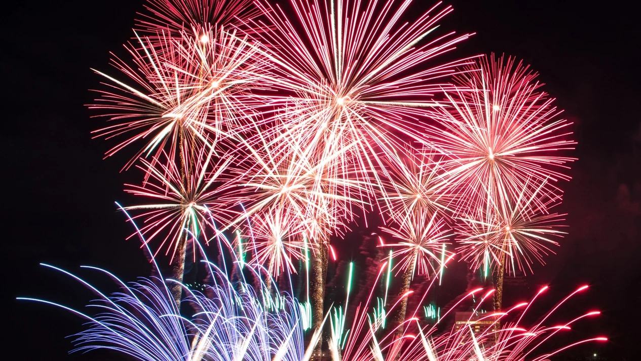 Atami Fireworks Festival, Enoshima, and Cruise Day Tour (Depart from Tokyo)