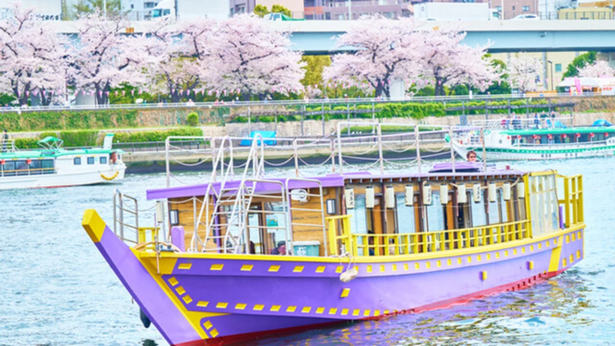 Tokyo Bay sightseeing cruise experience & Japanese food tasting