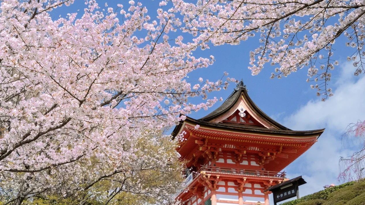 Kyoto Golden Route Bus One-Day Tour (Departing from Kyoto)