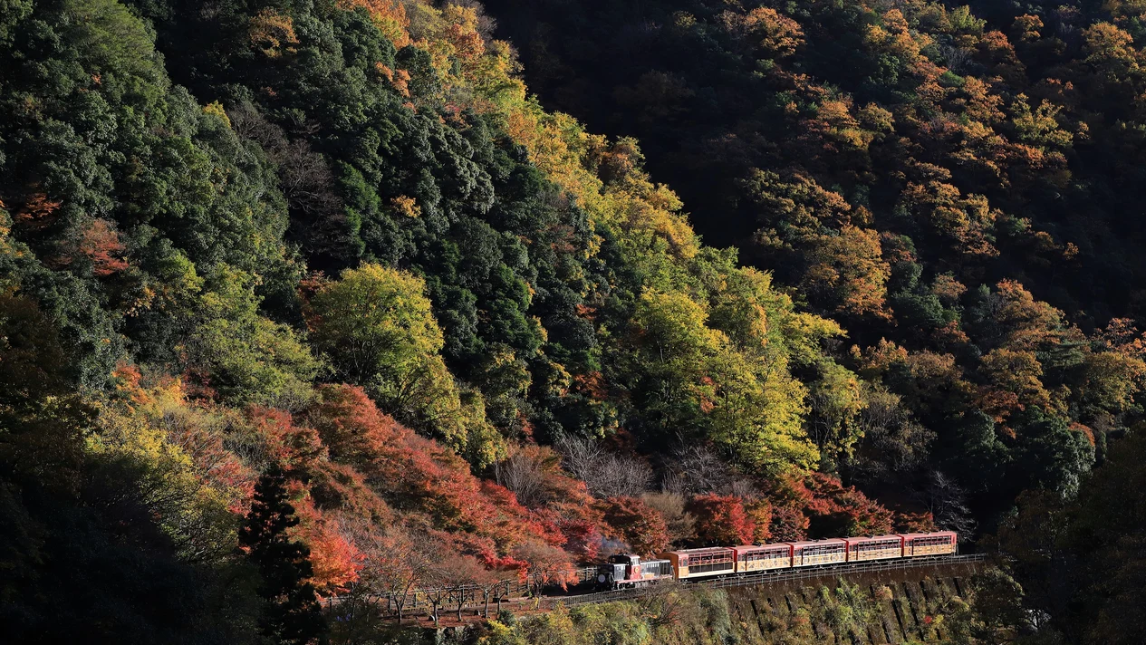 Arashiyama trip (optional Sagano Romantic Train ride experience)