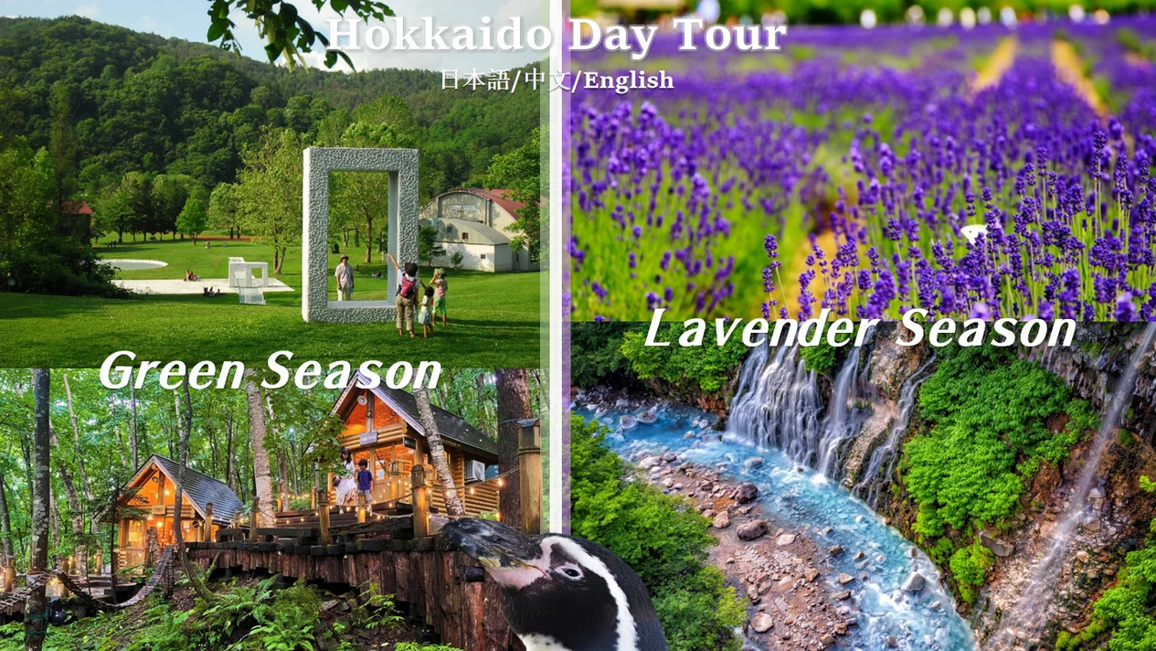 Asahiyama Zoo & Furano and Biei 1-day bus tour