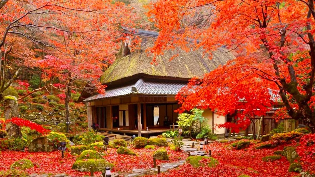 Red leaf season｜Hieizan Enryakuji Temple & Kyorinbo & Hachiman Cruise one-day maple viewing tour｜(Osaka/Kyoto departure)