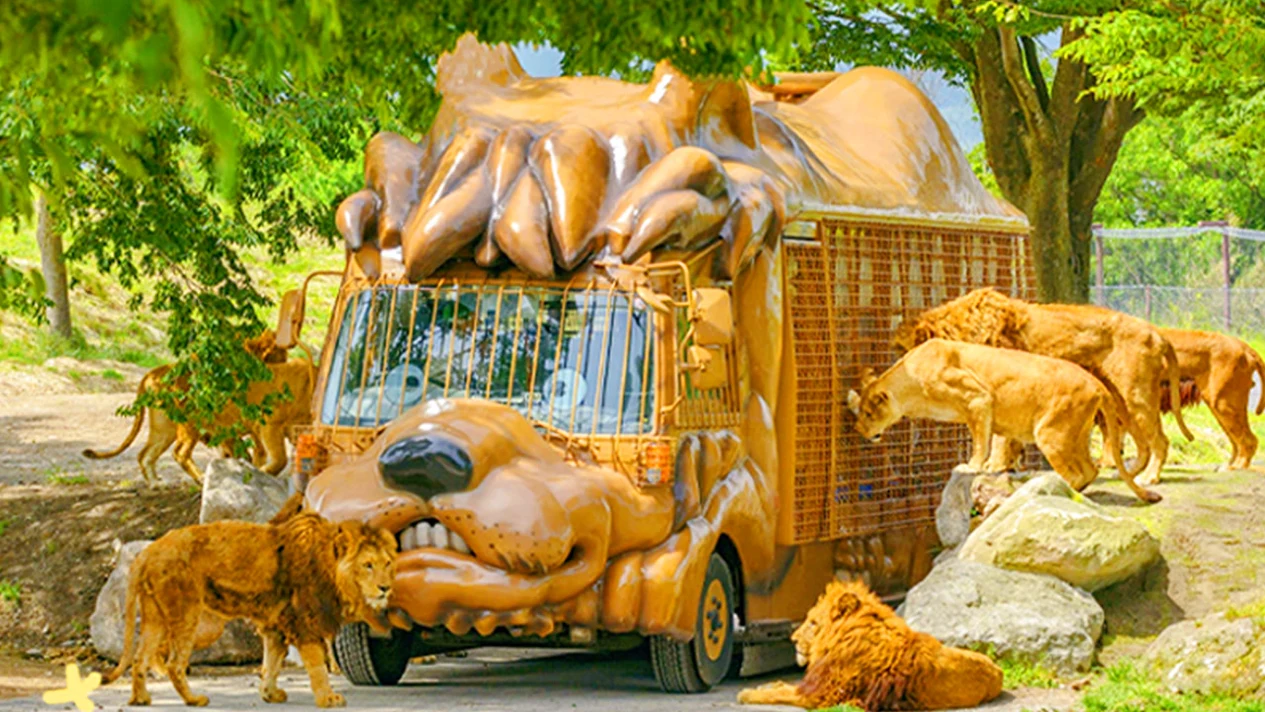 One-day tour to Yufuin & Kyushu Natural Animal Park & Umi Jigoku & Kitchen Jigoku (departing from Fukuoka)
