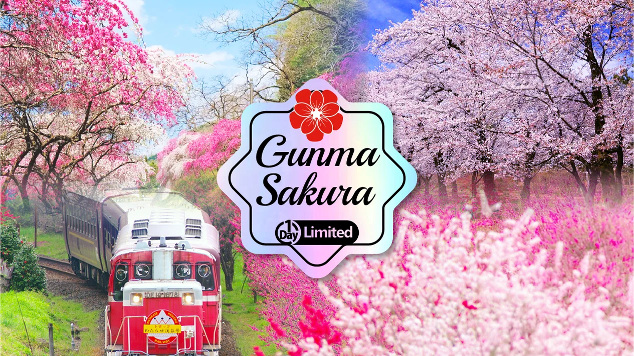 【櫻花季限定櫻花列車】渡良瀨川溪谷櫻花列車體驗&小夜戸花桃街道&赤城南面千本櫻賞櫻花一日遊（東京出發）