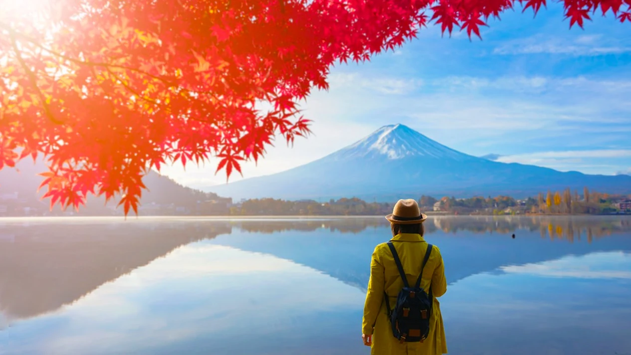 Mount Fuji Lake Kawaguchi & Lake Yamanaka KABA Amphibious Hippo Bus Experience One-day Tour [Departing from Tokyo | Optional hotel pick-up]