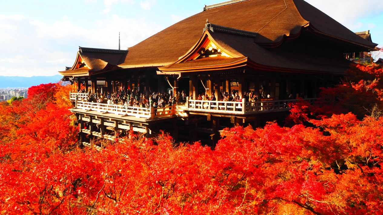 【大阪・京都出發】金閣寺＆嵐山竹林渡月橋＆三十三間堂＆清水寺二年坂三年坂世界遺產古都京都一日遊(可升級獨家A5頂級神戶牛)