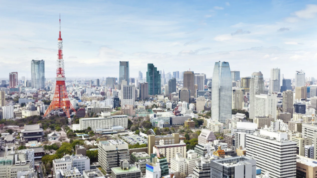 東京6小時私人導覽遊（持政府執照導遊）