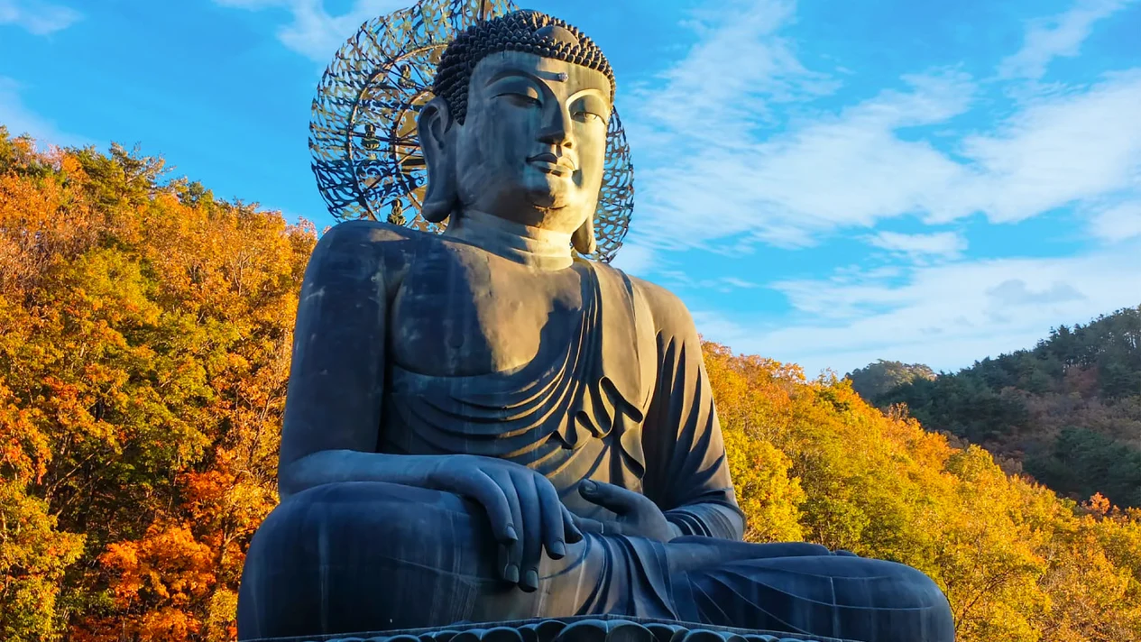 Seoraksan Cable Car & Sokcho One-Day Tour (Departing from Seoul)