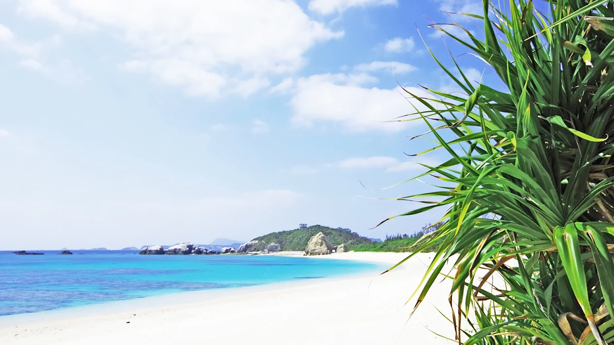 慶良間諸島渡嘉敷島阿芭蓮海灘海水浴一日遊（那霸出發/高速船或渡輪/含午餐）