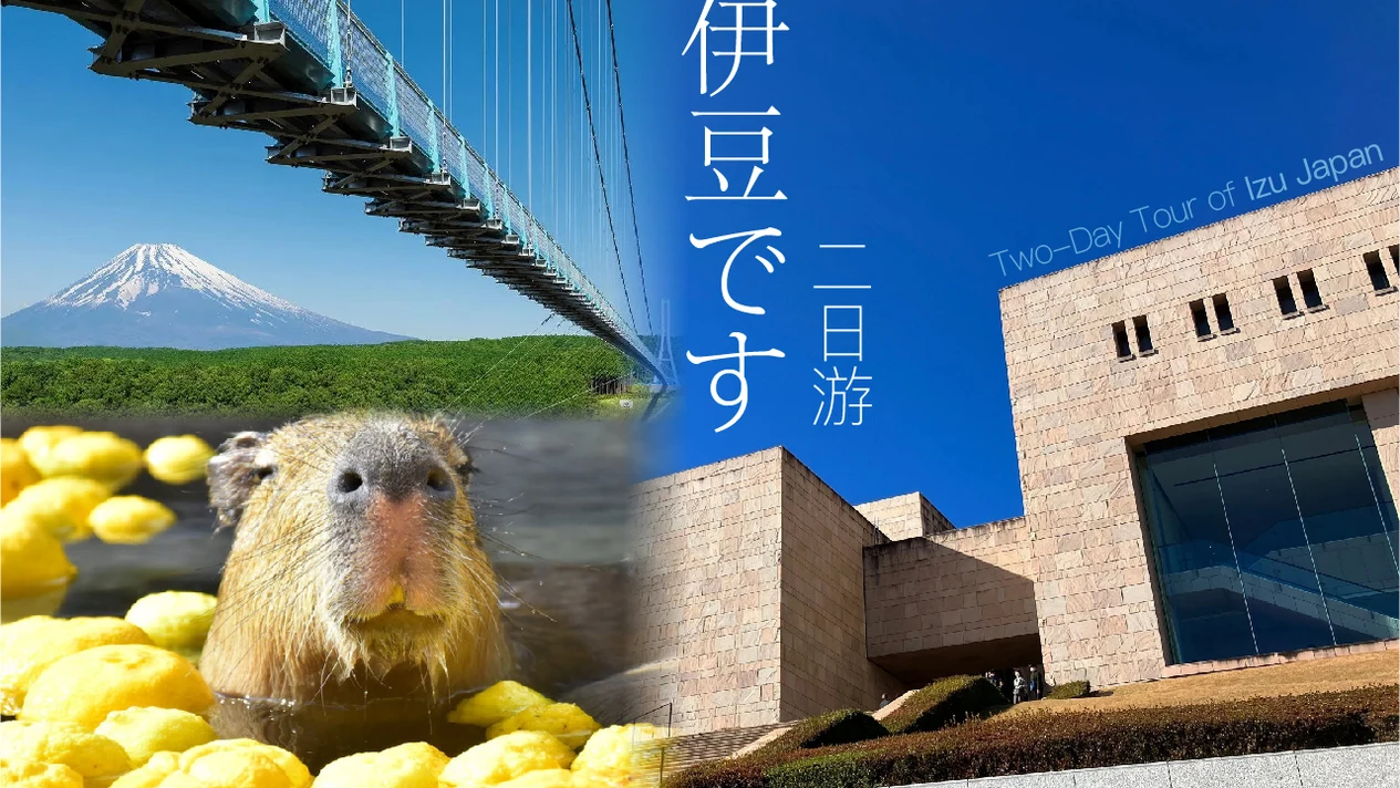【熱海&伊豆温泉深度二日遊】MOA美術館&來宮神社&三島天空步道&修善寺瀧亭温泉&大室山&城崎海岸二日遊(東京出發）