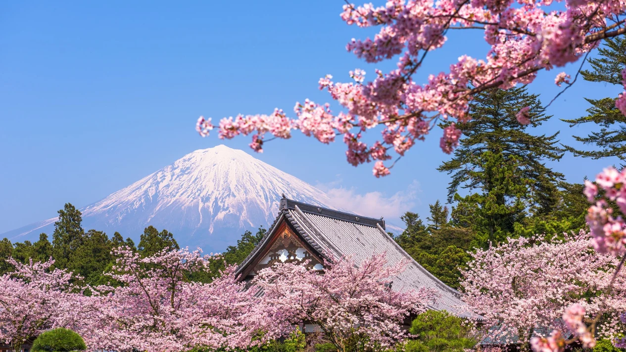 Mount Fuji & Hakone Popular Tourist Attractions Guide (Korean/English)