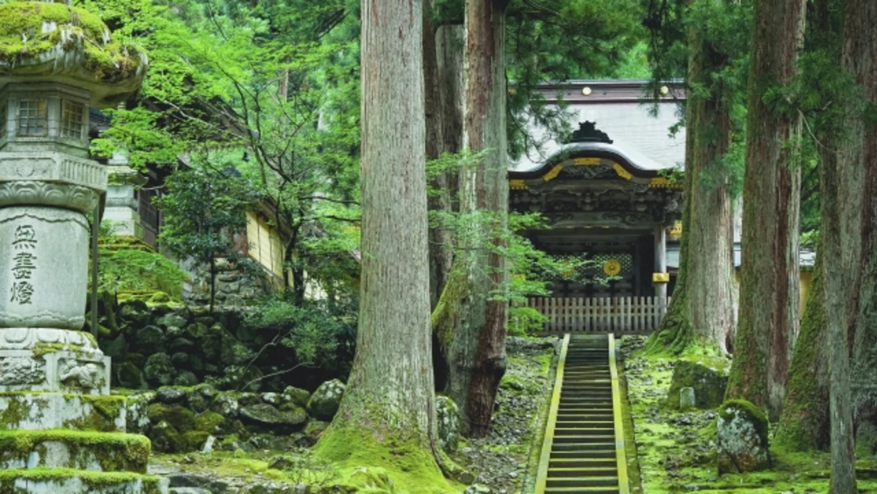 永平寺＆福井城一日遊（金澤出發）