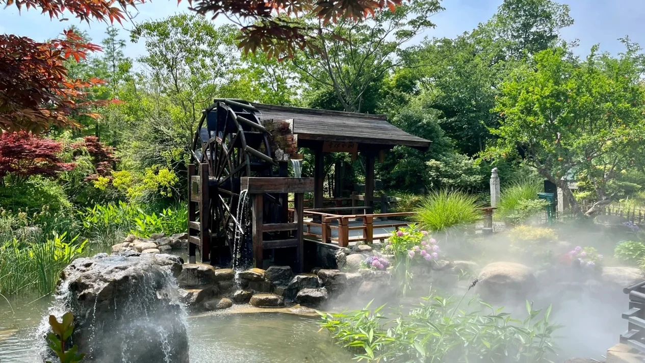 [Nanjing gathers in Shanghai and disbands] 6-day high-end tour of five cities in East China (Shanghai Disney + Nanjing Sun Yat-sen Mausoleum + Wuxi + Suzhou Lingering Garden + Hangzhou Tea Garden Travel Photography + Drone & Fireworks Show + 5-Diamond Stay + 7 Special Meals)
