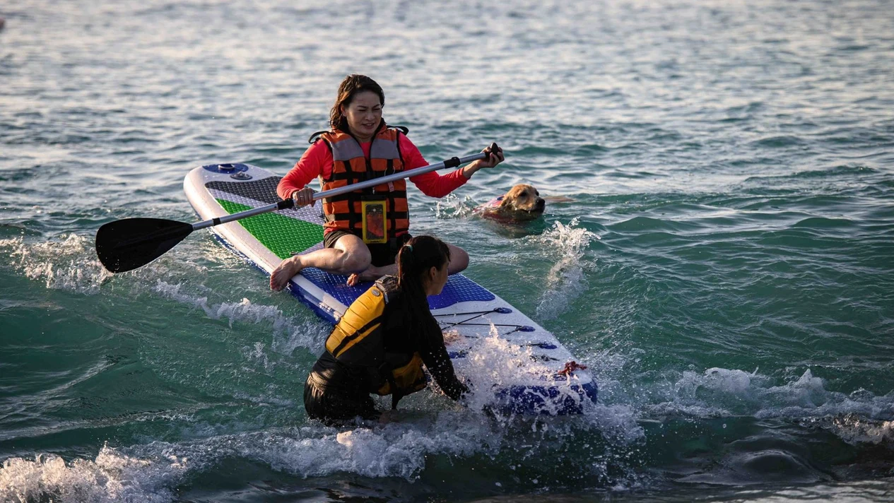 Yilan: LSENT Learn SUP - Dongao SUP stand-up paddling experience