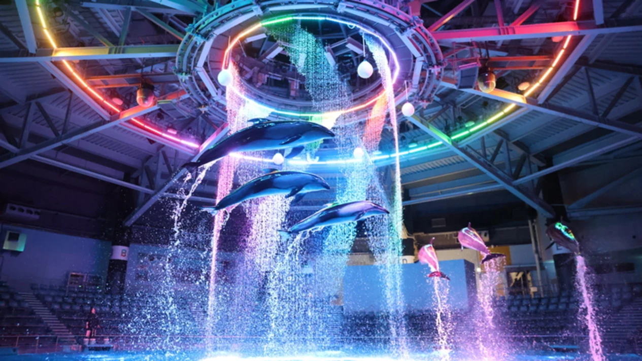 Maxell Aqua Park Shinagawa Tickets