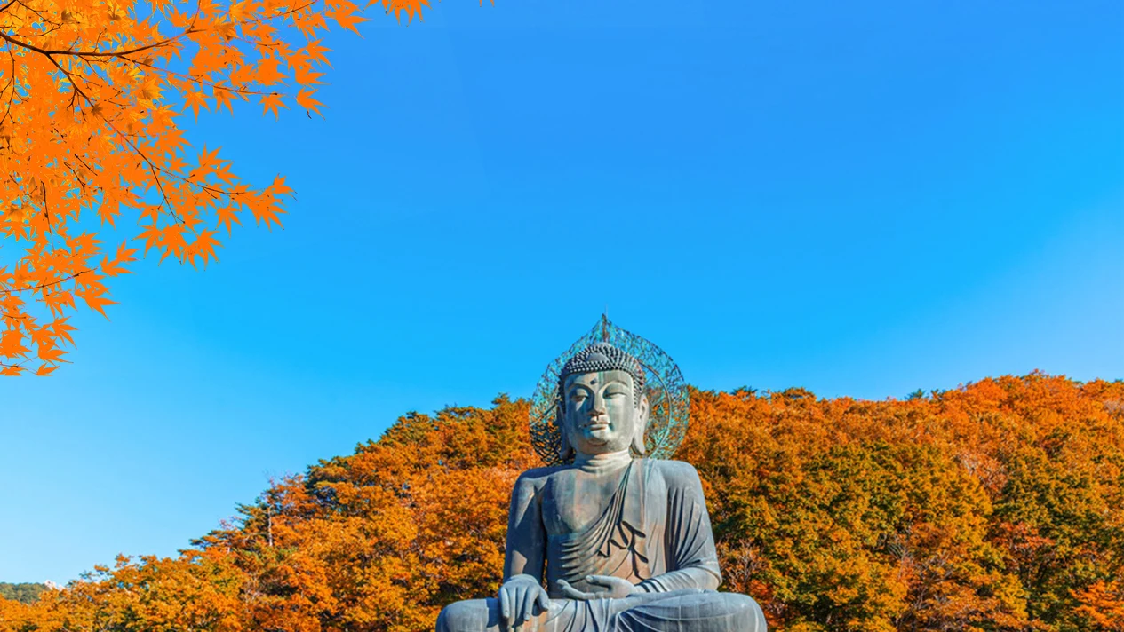 雪嶽山國立公園賞楓一日遊（首爾出發）